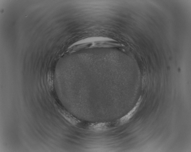 X0000067900186200605041627