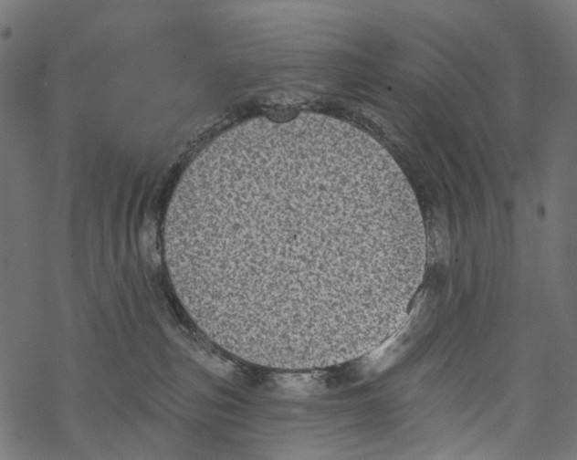 X0000067900187200605041627