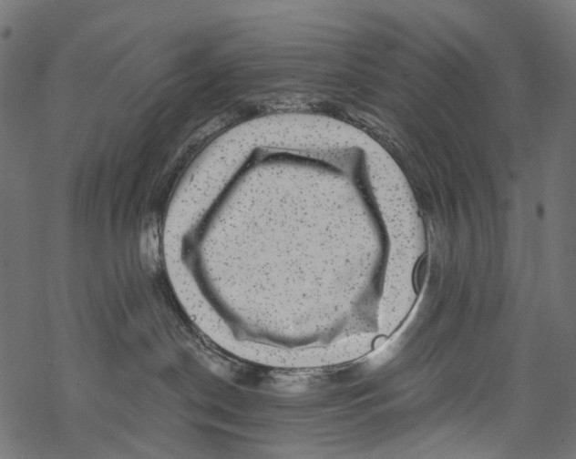 X0000067900190200605041627