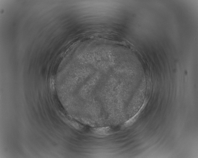 X0000067900191200605041627