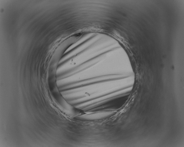 X0000067900193200605041626