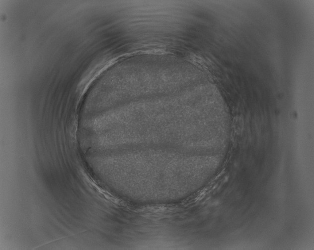 X0000067900194200605041626