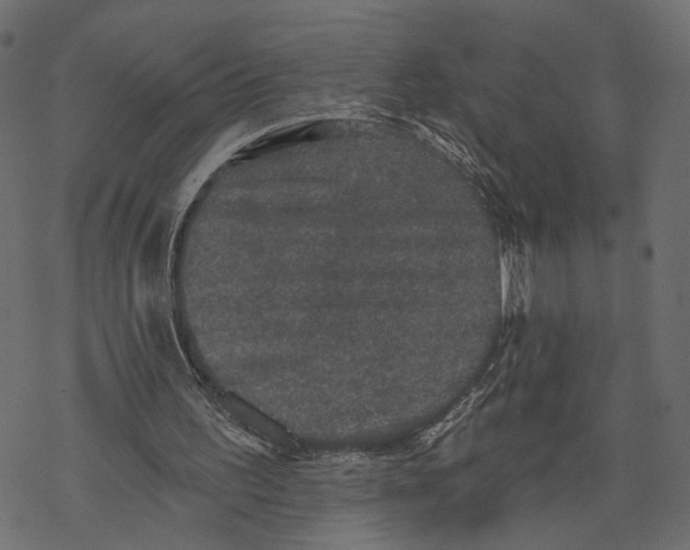 X0000067900195200605041626