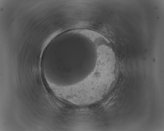 X0000067900196200605041626