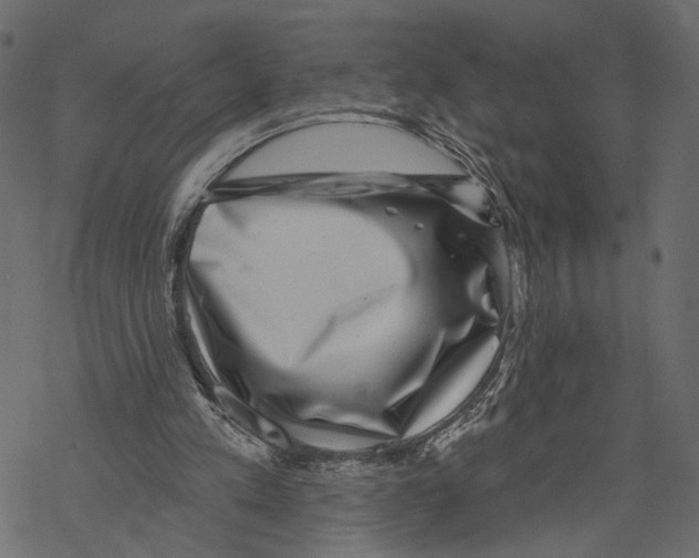 X0000067900197200605041626