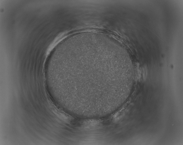 X0000067900198200605041626