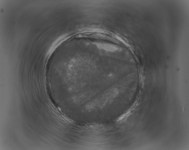 X0000067900199200605041626