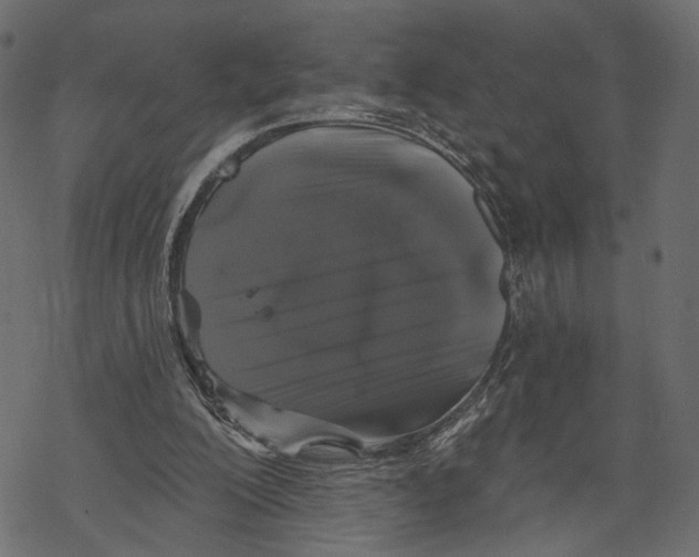 X0000067900200200605041626