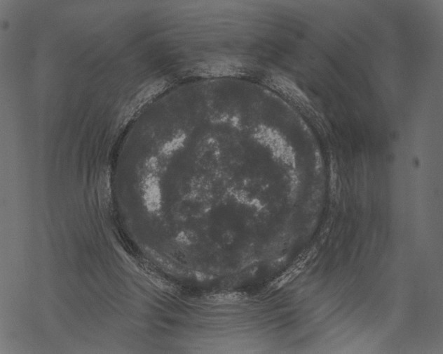 X0000067900202200605041626