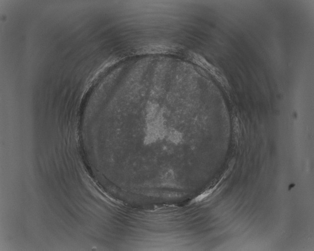 X0000067900203200605041626