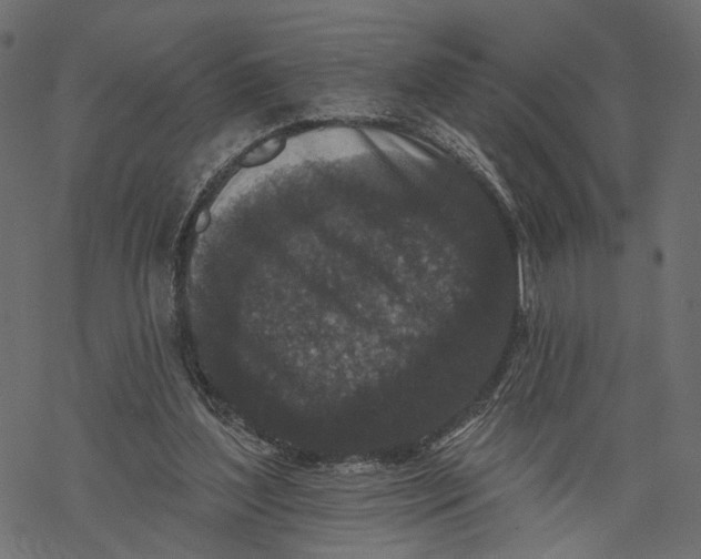 X0000067900204200605041626