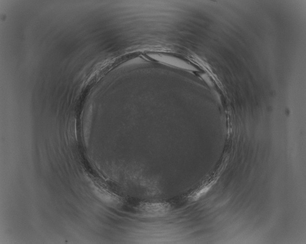 X0000067900205200605041626