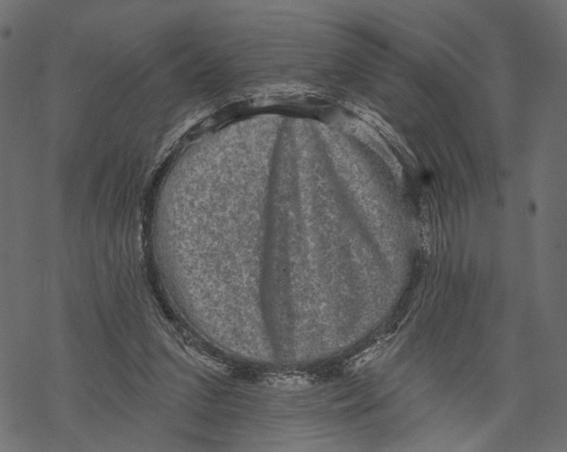 X0000067900207200605041626