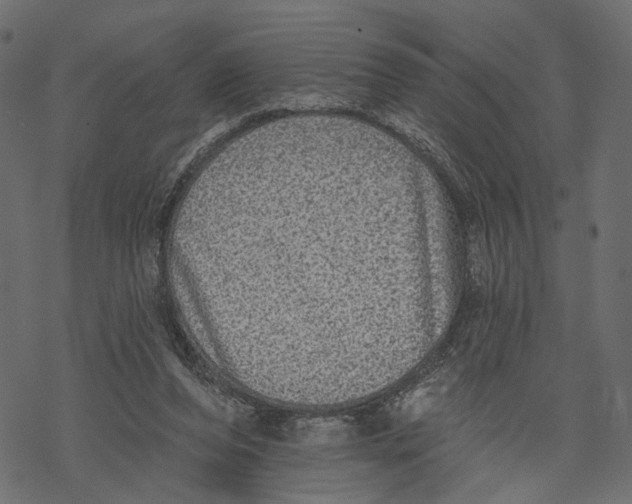 X0000067900208200605041626