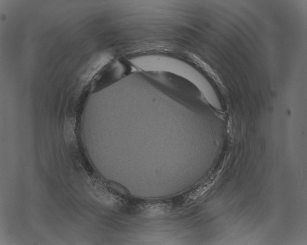 X0000067900209200605041626