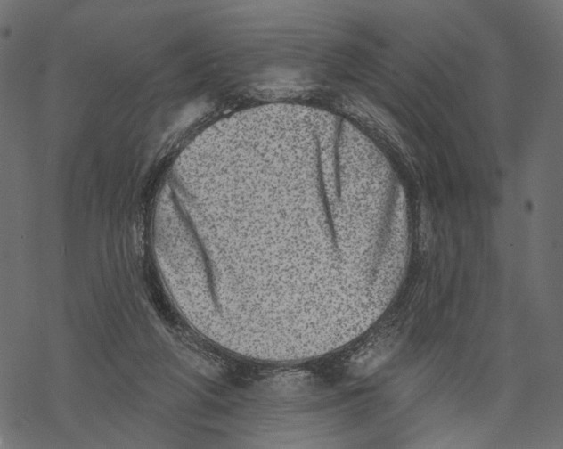 X0000067900210200605041626