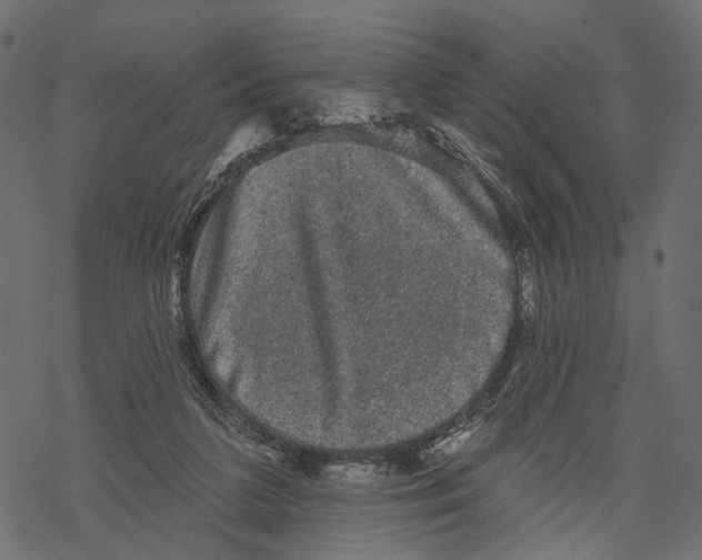 X0000067900211200605041626