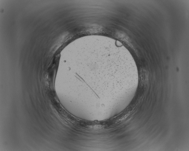 X0000067900212200605041626