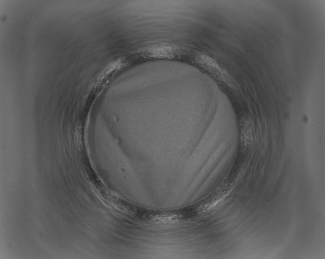 X0000067900213200605041626