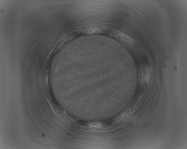 X0000067900214200605041626