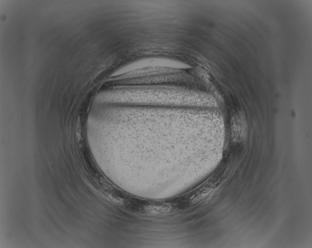 X0000067900215200605041626