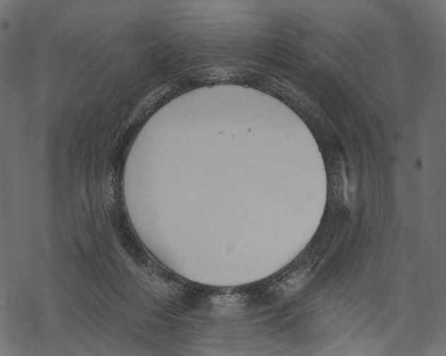 X0000067900216200605041626