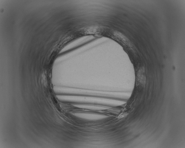 X0000067900217200605041626