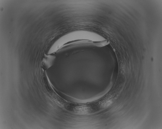 X0000067900219200605041626