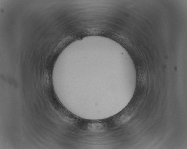 X0000067900220200605041626