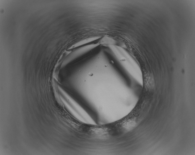 X0000067900221200605041626