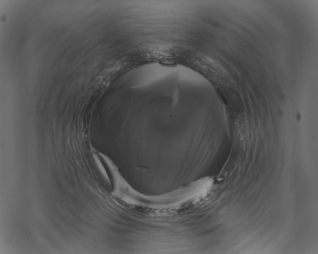 X0000067900223200605041626