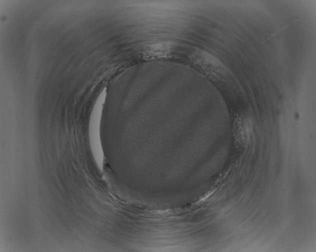 X0000067900224200605041626