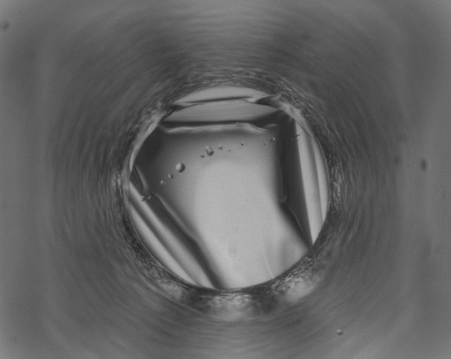 X0000067900225200605041626