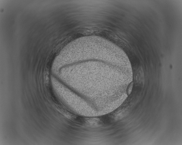 X0000067900226200605041626