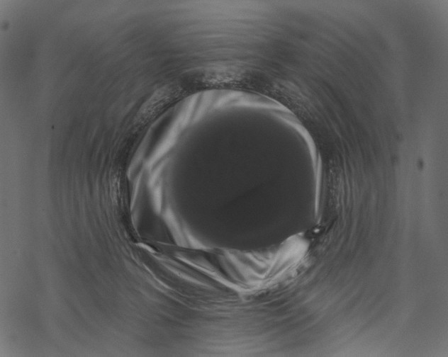 X0000067900227200605041626