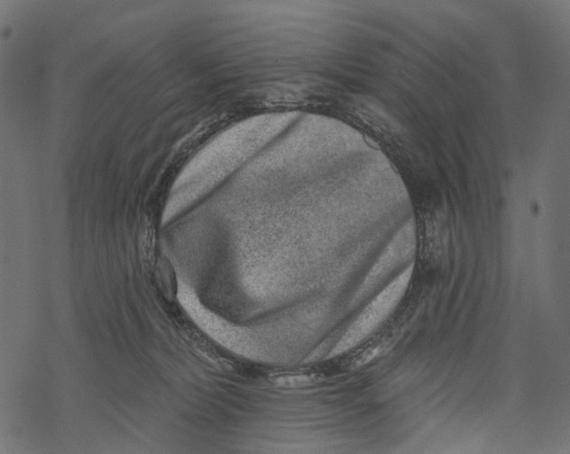 X0000067900228200605041626