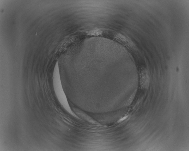 X0000067900229200605041626