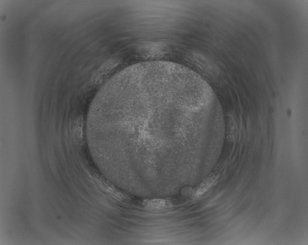 X0000067900230200605041626