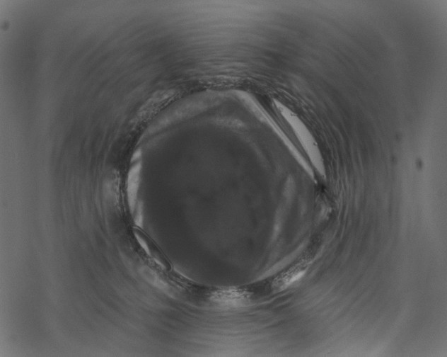 X0000067900231200605041626