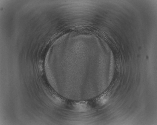 X0000067900232200605041626