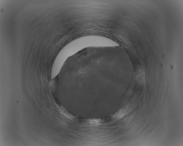 X0000067900233200605041626