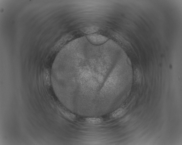 X0000067900234200605041626