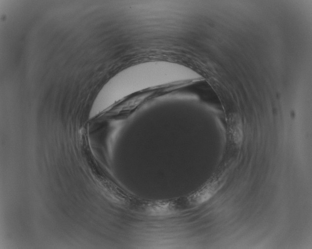 X0000067900235200605041626