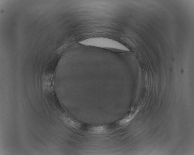 X0000067900237200605041626