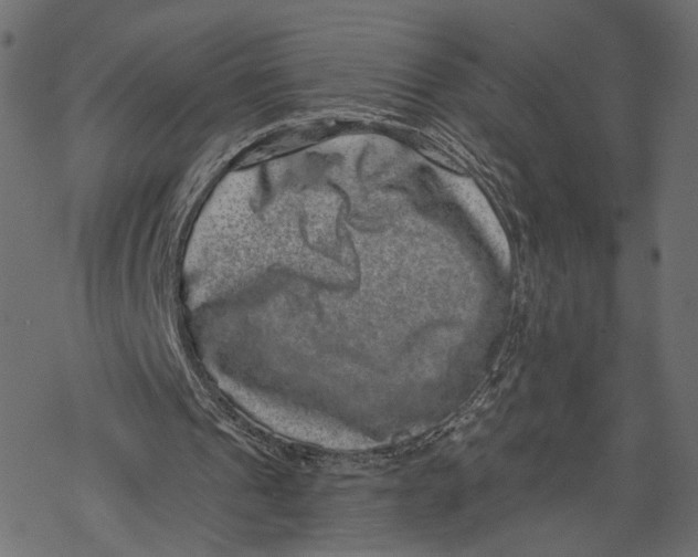 X0000067900241200605041625