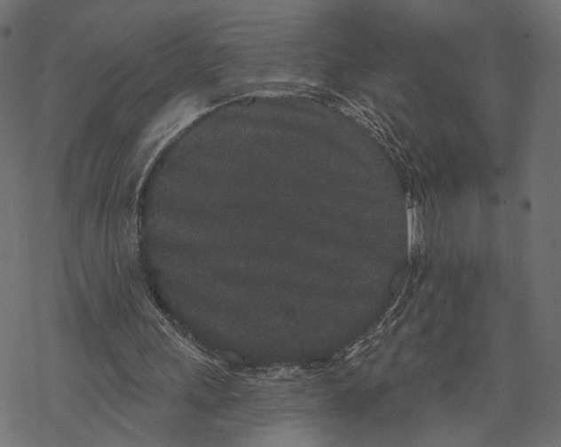 X0000067900243200605041625