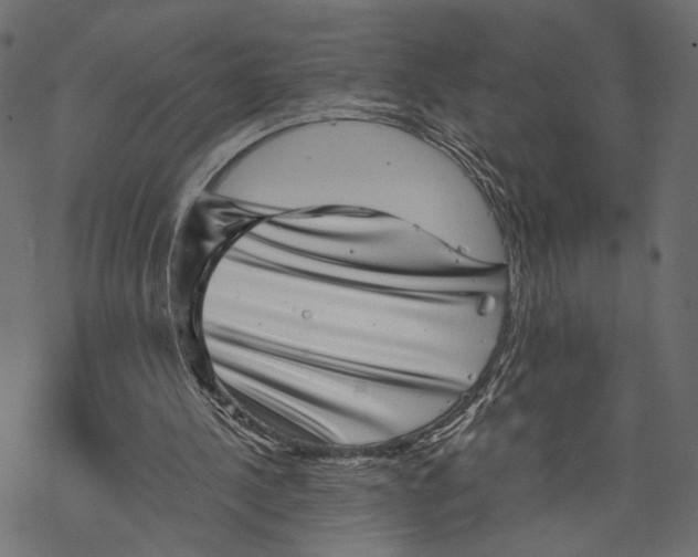 X0000067900244200605041625