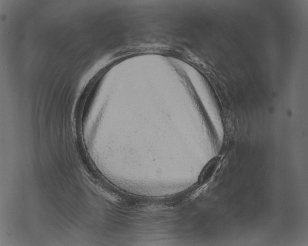 X0000067900246200605041625