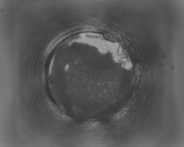 X0000067900247200605041625