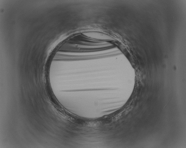 X0000067900248200605041625